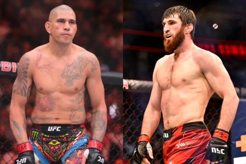 UFC Rumors: Alex Pereira Refused to Save UFC 317 as Magomed Ankalaev Rematch Up for Grabs