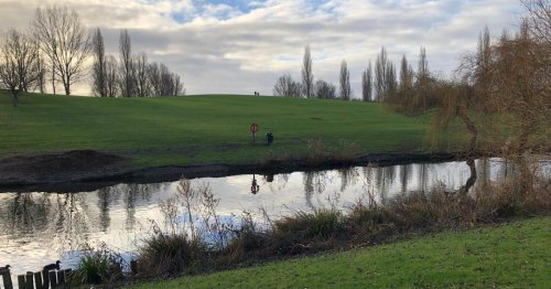 Dead fish appear in Basildon's Gloucester Park fishing lake and no one knows why