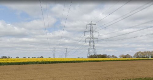 Chelmsford Tories want pylon rethink to avoid 'despoliation of the countryside'