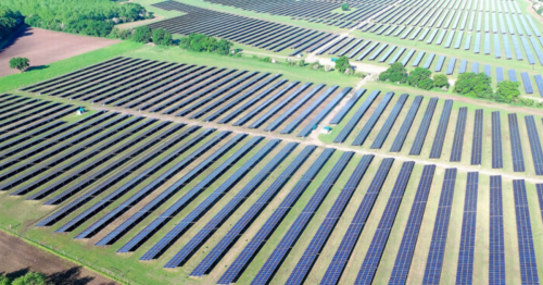 Every solar farm announced, approved and refused across Essex since start of 2022