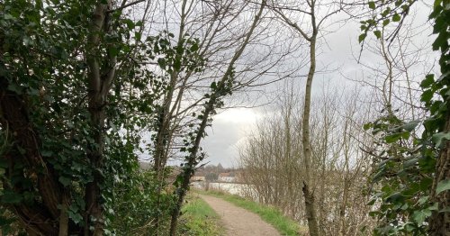 The winding Essex walk along a riverbank that ends at a castle
