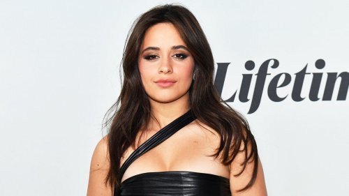 Camila Cabello Dating Austin Kevitch After Shawn Mendes Split