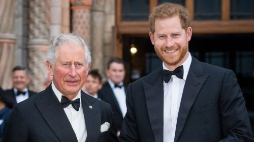 Prince Charles, Camilla Had Emotional Visit With Prince Harry's Kids