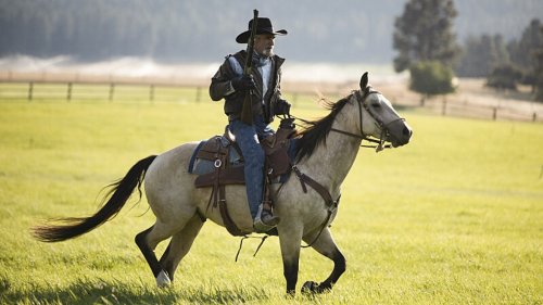 How To Watch ‘Yellowstone’ Season 5, Part 2 Online | Flipboard