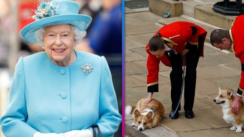 Queen Elizabeth II Was Comforted By Corgis 'In Her Final Hours'