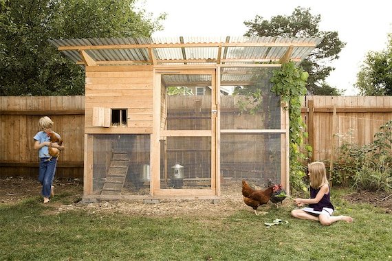 The Garden Coop Walk-in Chicken Coop Plan Ebook PDF Instant - Etsy