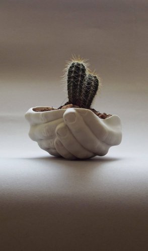 Handmade Ceramic Hand Succulent Planter, Cactus Pot, Cute Office Desk Accessories, Porcelain Catch All Tray, 1st Anniversary Gift for Couple - Etsy