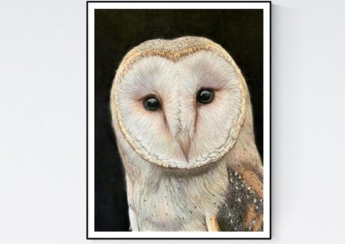 Barn Owl Print Barn Owl Art Owl Wall Art Bird Lover - Etsy