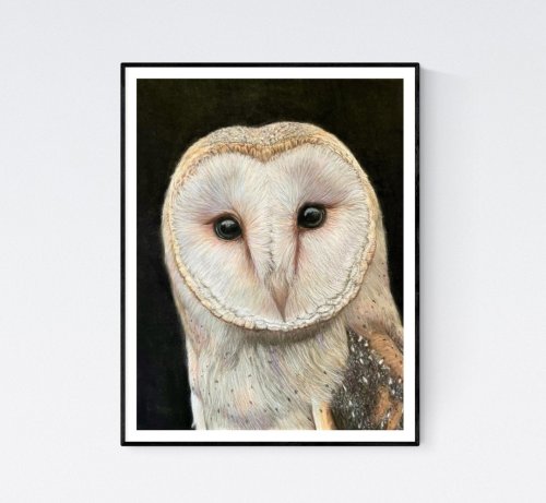 Barn Owl Print Barn Owl Art Owl Wall Art Owl Gifts Owl Portrait Owl Artwork Owl Giclee Print Owl Print Owl Wall Art - Etsy