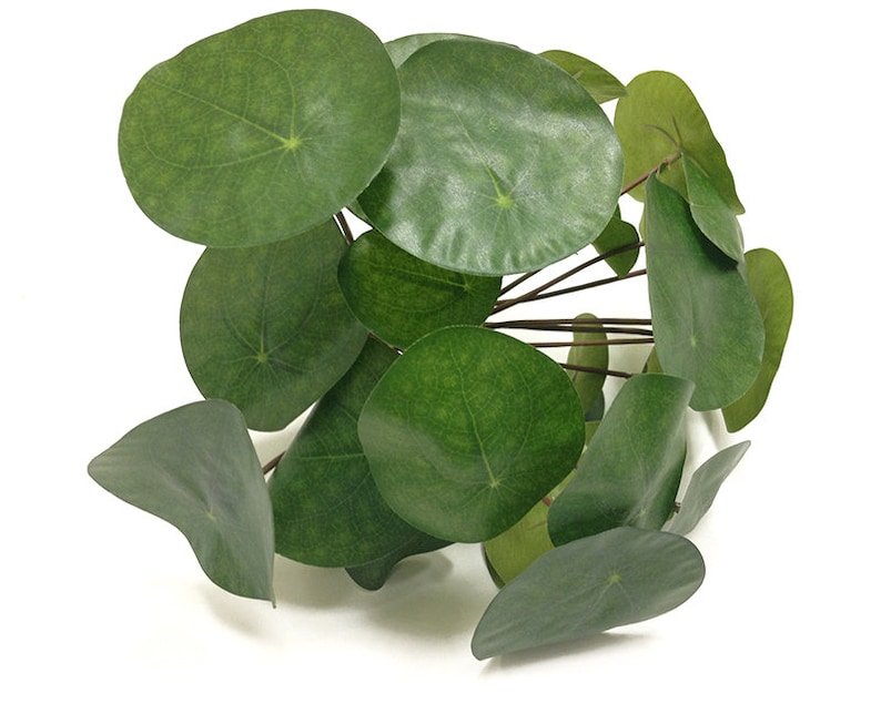Brighten up your workspace with an artificial Chinese money plant