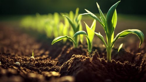 Media Partnership - Soil health & agriculture: Going beneath the surface
