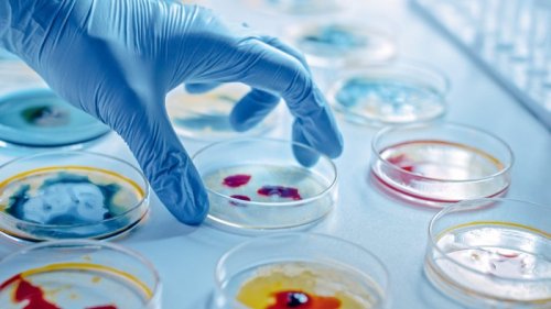 Commission defends ‘humans only’ antimicrobials list saved by MEPs