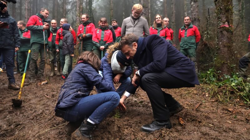 Macron's billion trees target leaves scientists and NGOs sceptical
