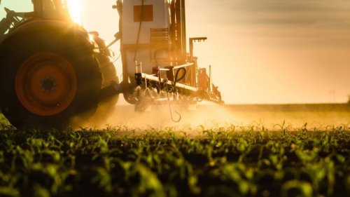 EU farmers' network: Pesticides can be reduced without impacting profits