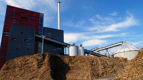 Campaigners hail 'historic breakthrough' on revised EU biomass rules