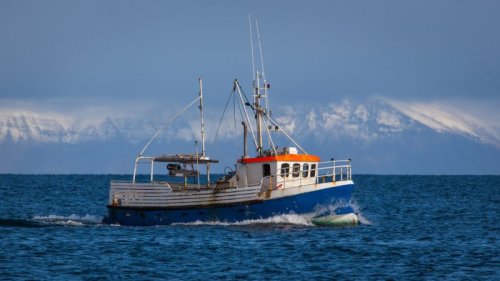 EU Council follows Commission's line, trims Baltic fishing quota