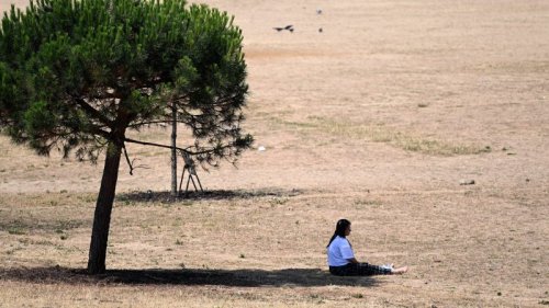 Over 20,000 died in western Europe’s summer heatwaves, figures show