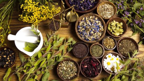 Albania’s medicinal herb industry flourishes but concerns over future remain