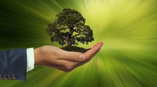 How US States Can Protect The Environment From Federal Rollbacks And Intervention – OpEd