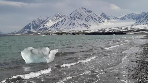 ‘Cryosphere Meltdown’ Could Impact Arctic Marine Carbon Cycles And Ecosystems