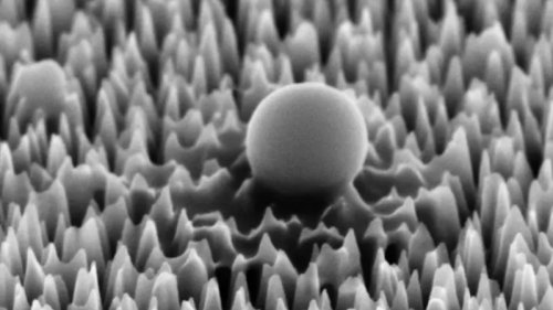 Silicon Spikes Take Out 96% Of Virus Particles