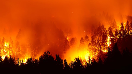 Saving Forests Using Fire Detection System Based On Lancaster Research