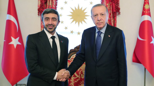 Turkey’s Erdogan Discusses Advancing Cooperation With UAE Foreign Minister