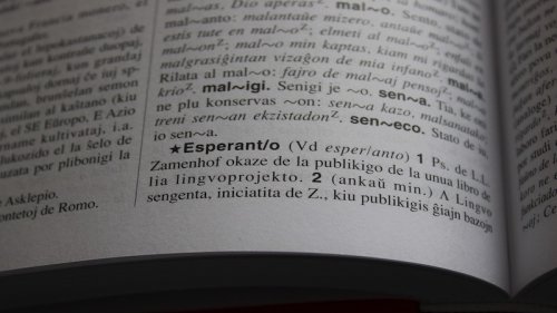 To The Brain, Esperanto And Klingon Appear The Same As English Or Mandarin
