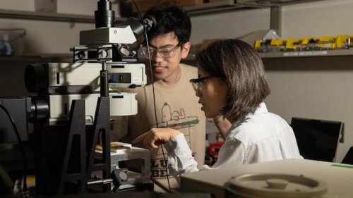 Light-Based Data Made Clearer With New Machine Learning Method