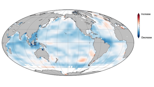 World’s Ocean Is Losing Its Memory Under Global Warming