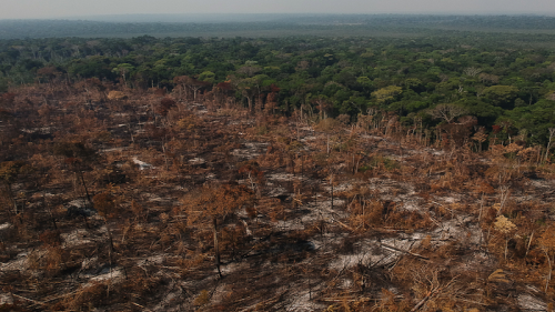 Land Tenure Drives Deforestation Rates In Brazil