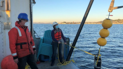 Bubbles Of Methane Rising From Seafloor In Puget Sound