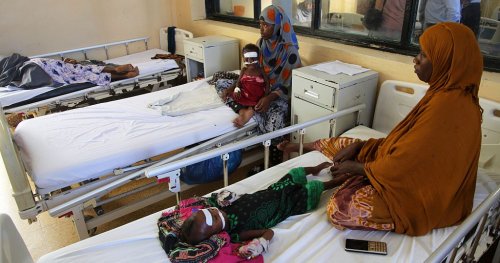 Global hunger worsened in 2024, affecting 295 mln people: UN report