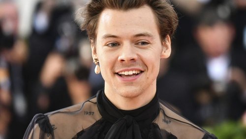 Harry Styles accused of queerbaiting: but what is 'queerbaiting'?
