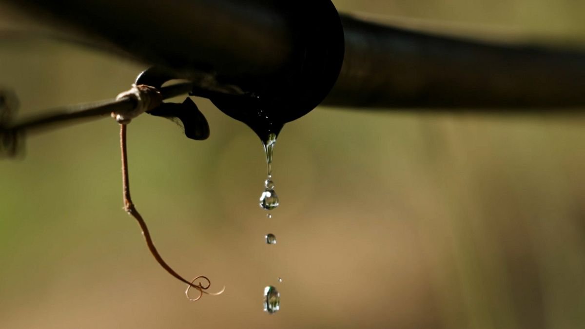 Les agriculteurs européens peuvent-ils sauver le cycle de l’eau ?
