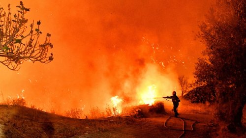 Grécia aumenta número de bombeiros e drones para fazer face ao risco crescente de incêndios florestais