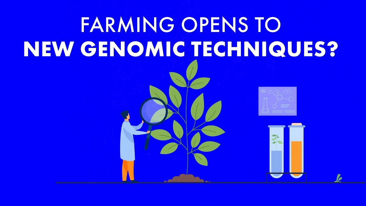 L’agriculture européenne va-t-elle se convertir aux nouvelles techniques génomiques ?