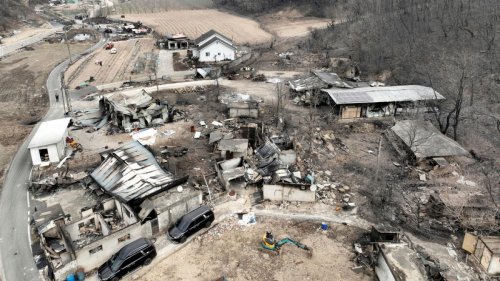 Südkorea: Verheerendste Waldbrände der Geschichte