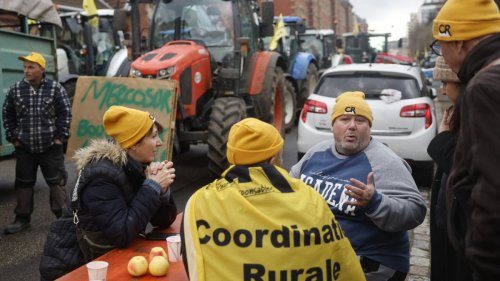 Le front uni de la France contre l'accord du Mercosur et de l'UE commence à se fissurer