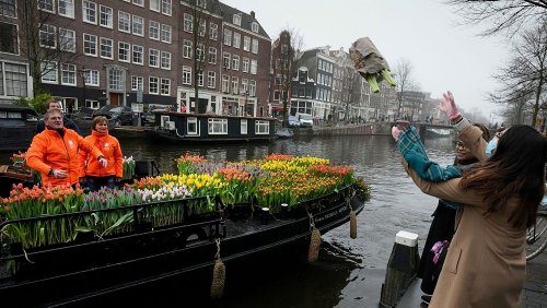 Tulip season begins in Amsterdam with bouquets thrown from canal boat