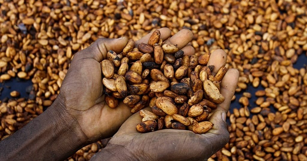 Côte d&rsquo;Ivoire : le gouvernement va acheter les stocks de cacao