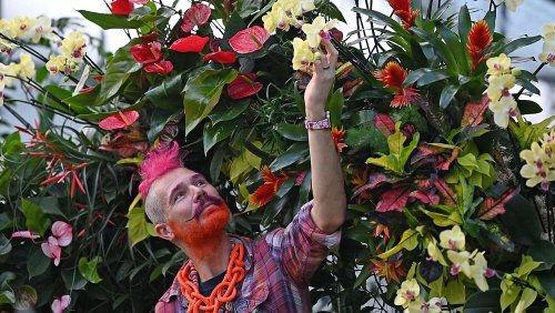 Over 5,000 Costa Rican orchid blooms tropically transform London's Kew Gardens
