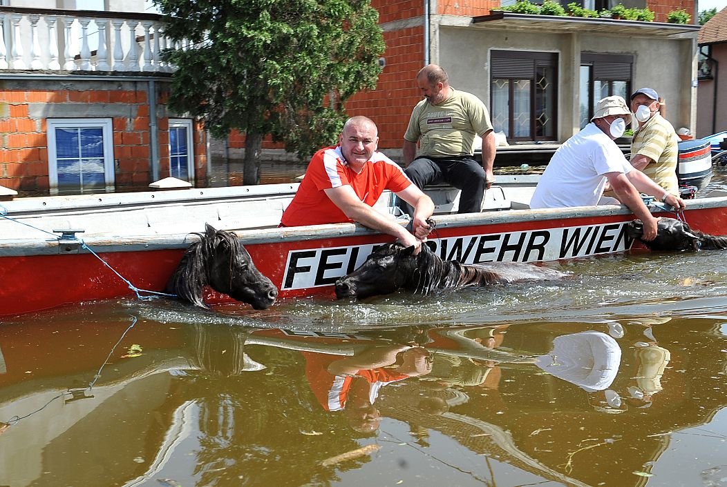 Migrants climatiques en Europe