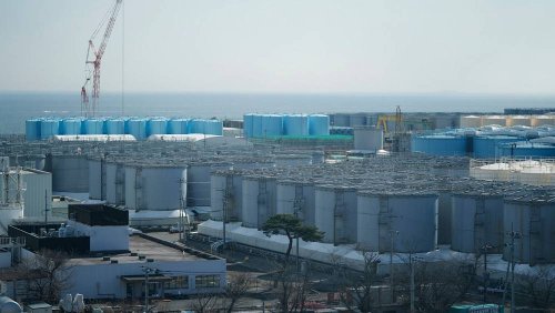 Japan green lights release of Fukushima wastewater , but will there be an environmental cost?