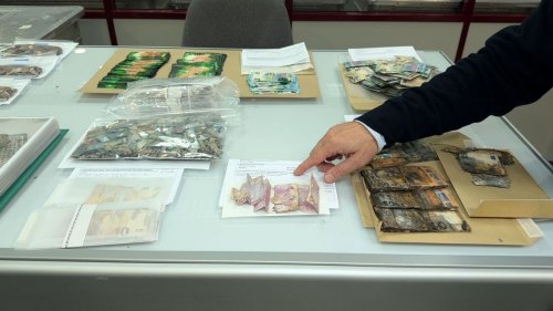 Portugal: Bargeld vergraben - Millionen Euro vernichtet