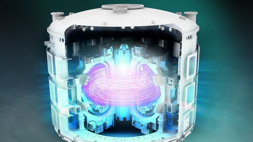 Inside the world's first reactor that will power Earth using the same nuclear reaction as the Sun