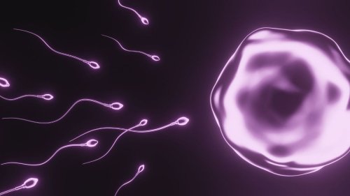 Sperm count drop is accelerating worldwide and threatens the future of mankind, study warns