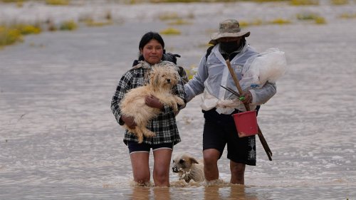 Video. Schwere Überschwemmungen in Bolivien