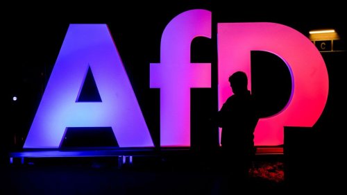 Verfassungsschutz: AfD-Gutachten "stützt sich ausschließlich auf öffentliche Quellen"
