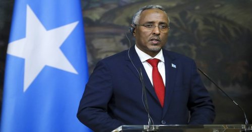 La Somalie, un potentiel économique négligé ?